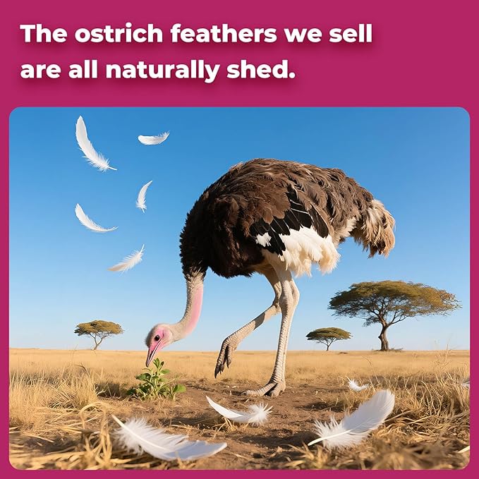 Piokio 40 pcs Gold Ostrich Feathers 12-14 inch(30-35 cm) Bulk for Wedding Party Centerpieces and DIY Clothes Decoration, Gatsby Decorations