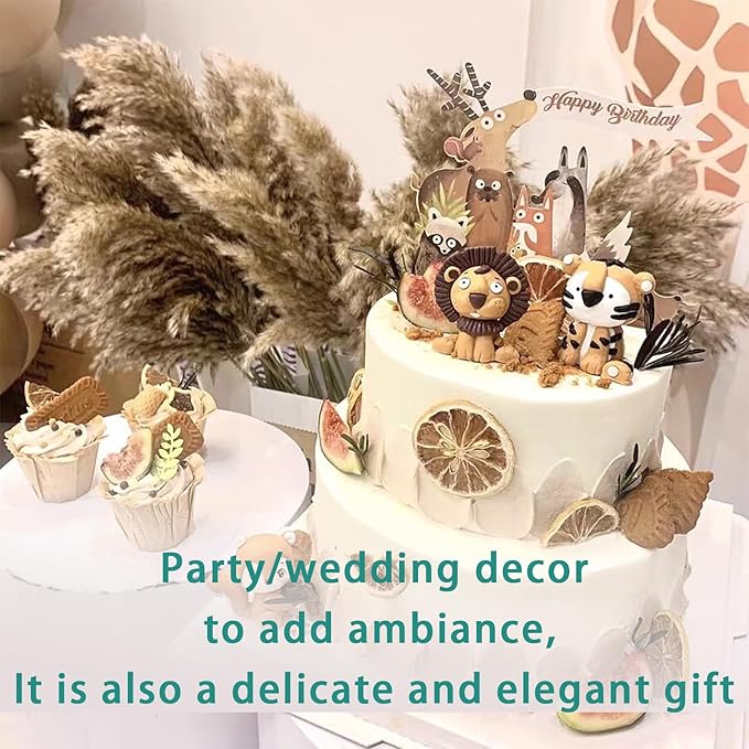 30 Stems 28 inch Boho Decor Tall - Dried Pampas Grass, Brown & White Pampas Grass Fluffy Large, Dry Flowers, Tall Pampas Bulk for Room Decor, Home Decor Floor,Wedding Decor