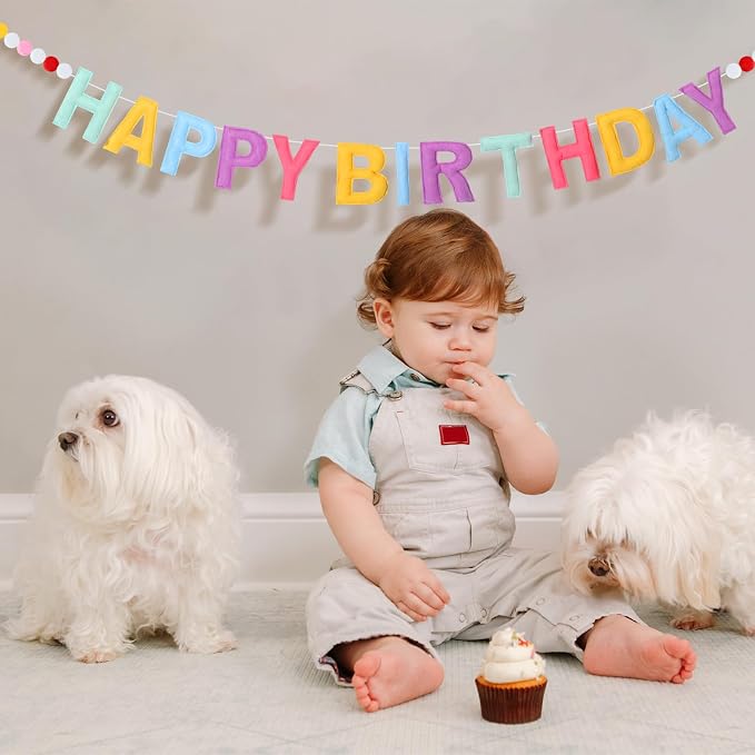 Mindsoft Felt Happy Birthday Garland Rainbow Banner Reusable Happy Birthday Sign Party Supply for Party Decor(Bright Color,Normal)
