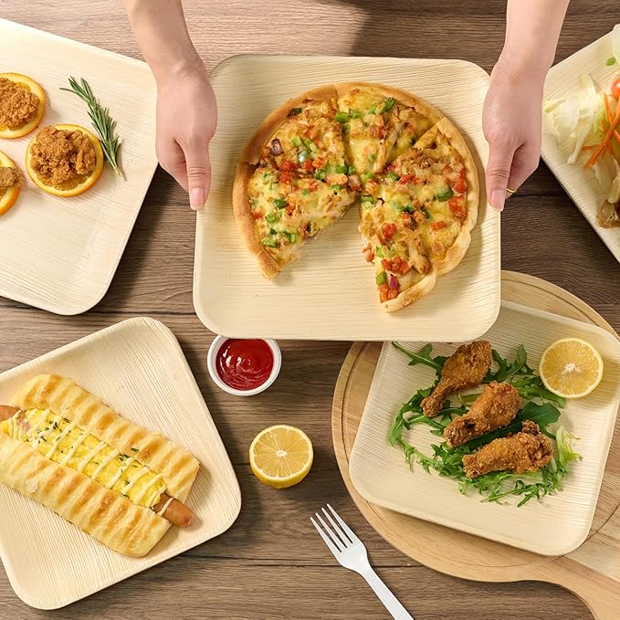 ECOLipak 10 Inch Compostable Palm Leaf Plate Like Bamboo Plate and 300 Count Disposable Wooden Knives