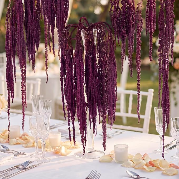 Suncalla 12 Pcs Dark Purple Spring Natural Dried Amaranthus Hanging Flowers Amaranthus Artificial Flowers for Wedding Arch Bouquet Floral Garland Wall Home Decoration (23 Inch)