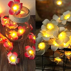 AceList 4 Sets Pink Flowers 20 LED String Light Hawaiian Foam Artificial Plumeria Flower Battery Powered Fairy Starry Lights for Wedding Beach Party