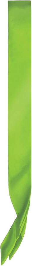 Beistle Lime Green Satin Sashes, Customizable Fabric Wearable for Birthdays, St. Patrick's Day Parties, Costumes, Events & Celebrations, Blank Design for DIY Personalization, 33" x 4"