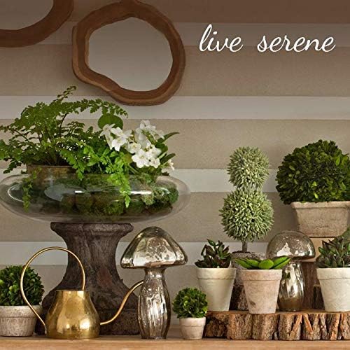 Serene Spaces Living Small Silver Cylinder Metal Vase, Elegant Flower Vase for Wedding, Anniversary, Home Decor, Table Centerpiece for Coffee Table, Dining Table, Countertop, 2.25" Diameter & 6" Tall