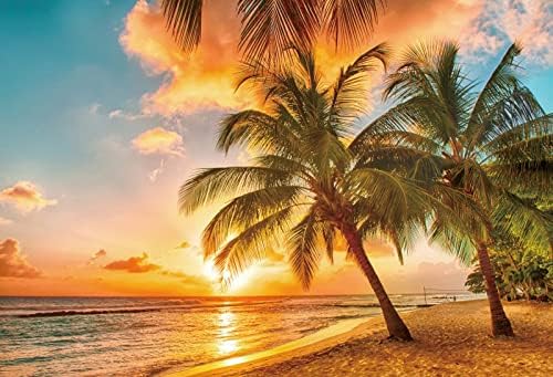 Yeele 15x10ft Summer Beach Sunset Backdrop Tropical Seaside Palm Trees Nature Scenery Background for Photography Travel Wedding Party Decorations Baby Kids Family Portraits Shoot Photo Studio Props