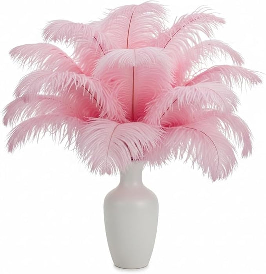 Lamar 20Pcs 10-12'' Pink Ostrich Feathers for Wedding Centerpieces, Crafts, Carnival, Gifts, Party Decor, Floral Arrangement, Bohemian Home Decor (LightPink)