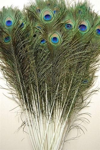 50 Pcs Peacock Feathers 40"-45" for Halloween Bridal Centerpieces Floral Decor