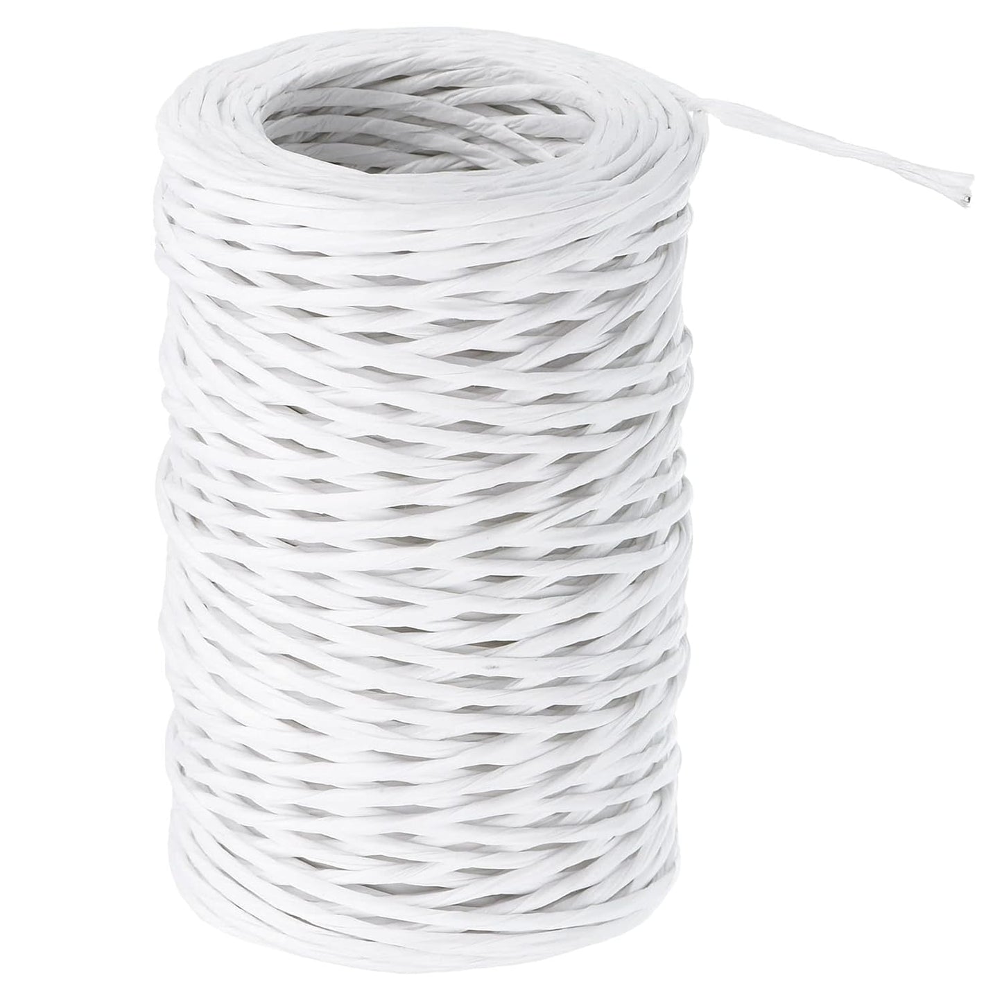 PATIKIL 164 Feet Floral Bind Wire Wrap Twine, 2mm Florist Wire Iron Wire Paper Covered Vine Wrapping Binding Wire for Flower Bouquets, White