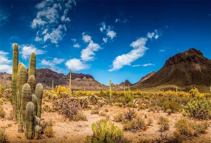 Yeele 15x10ft Desert Mountain Backdrops for Photography Saguaro Cactus Nature Landscape Background Wilderness Hiking Superstition Mountain Baby Girl Boy Photo Video Shoot Vinyl Studio Props