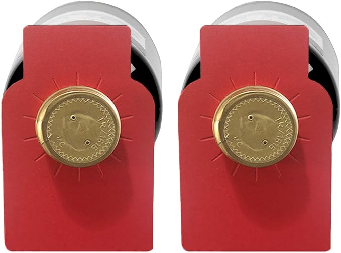 Wine Bottle Tags for Cellar Collection, Champagne,Hanging Labels for Name,Year,Tasting Notes (200Pack-Red)
