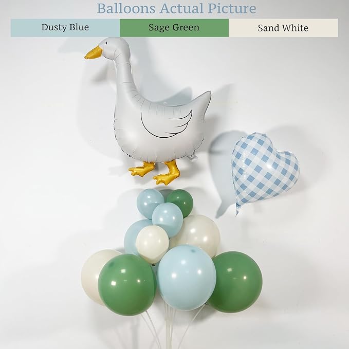 One Silly Goose Balloon Arch Kit – Sage Green Dusty Blue Balloon Garland with Goose gingham heart balloons, Vintage Goose Baby Shower Decorations, Boy or Girl Birthday Party Decor (146PCS)