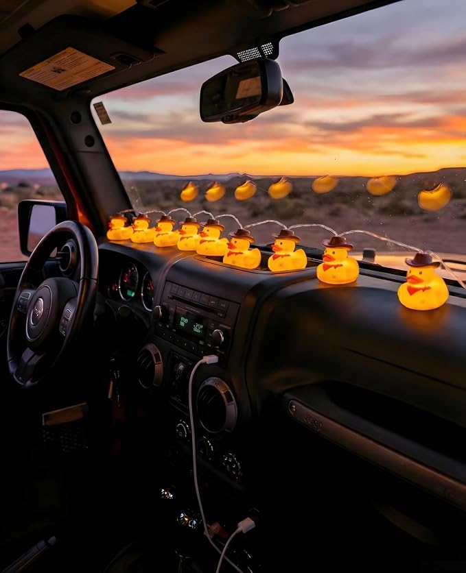 AceList Cowboy Rubber Duck String Lights - 20 LED Squeaky Night Light for Bedroom, Bathroom & Jeep Dashboard, USB/Battery Box Powered Novelty Western Gifts for Kids Christmas Party