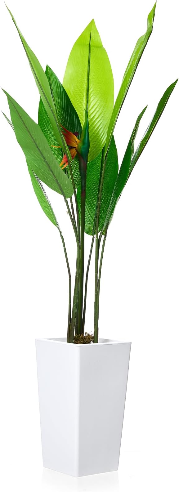 4.7FT Artificial Bird of Paradise Plant Tree with White Tall Planter, Tall Potted Faux Plants Indoor, Decorative Evergreen Tropical Fake Floor Plant for Home Office Living Room Outdoor Front Door