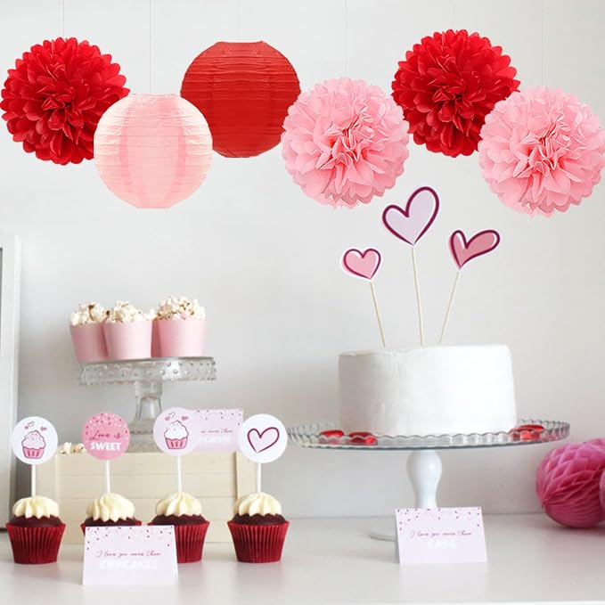 Red Pink Valentines Day Paper Flowers Hearts Honeycomb Lanterns Tissue Pom Poms 15pcs Galentines Party Decorations Anniversary Love Birthday Wedding Baby Shower Hanging Supplies Mprocherify