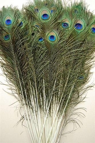 10 Pcs Natural Peacock Feathers 40"-45"