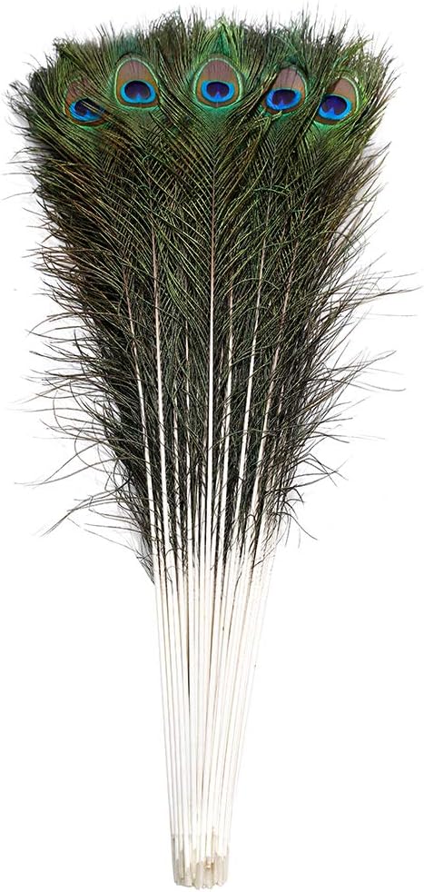 Ballinger 20pcs Natural Long Peacock Feathers 35-40 inch for DIY Craft, Party, Wedding Christmas Decoration and Floral Arrangement