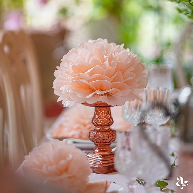 Peach Tissue Paper Pom Poms - Coral Peach Party Decorations for Birthdays, Weddings, Baby Showers and Special Occasions by Avoseta (16 Piece Set, Assorted Sizes)