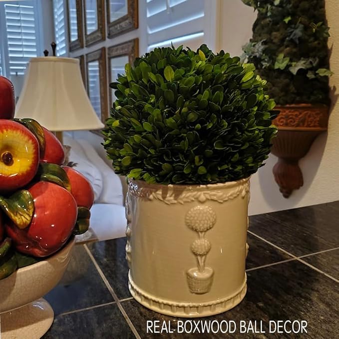 Preserved Boxwood Balls Decorative Filler for Centerpiece, Bowl, Vase, Home Decoration - Natural Tone - Dough Basket Fillers (8' Diameter)