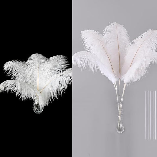 Ballinger 24Pcs 10-12inch,and 10Pcs 28inch White Ostrich Feathers Kit for Wedding Party Home