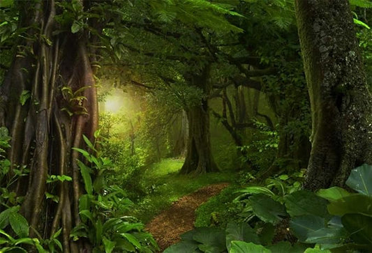 10x8ft Fairytale Rainforest Photo Backdrop Kids Birthday Party Events Decor Evergreen Forest Jungle Natural Scenery Photography Background Cloth Photo Studio Props