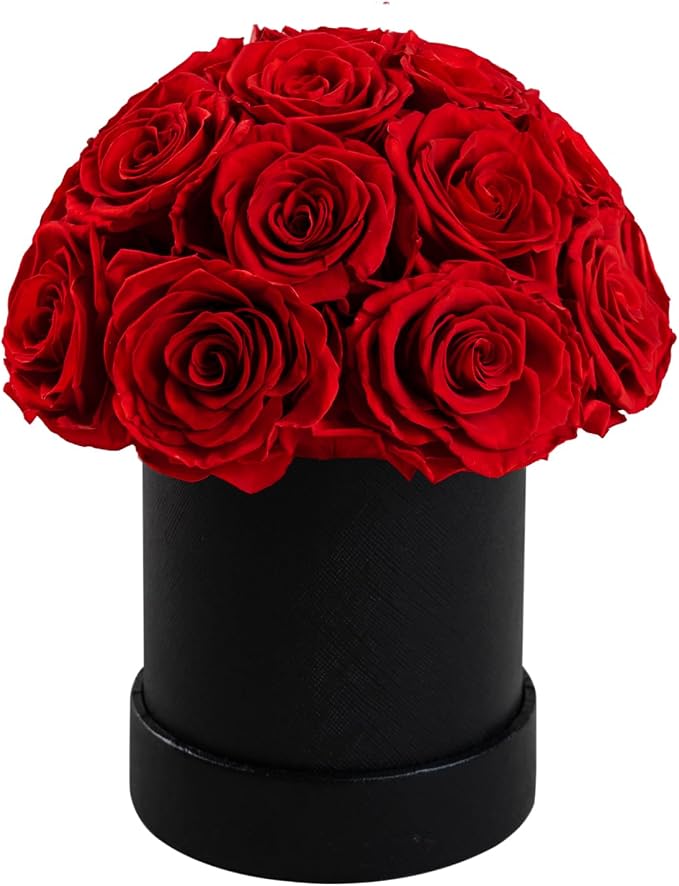18 Preserved Flowers for Delivery Prime, Roses Dome Forever Flower Decor for Party Home Table Bedroom, Anniversary, Birthday, Wedding Gifts for Women Her (Red)
