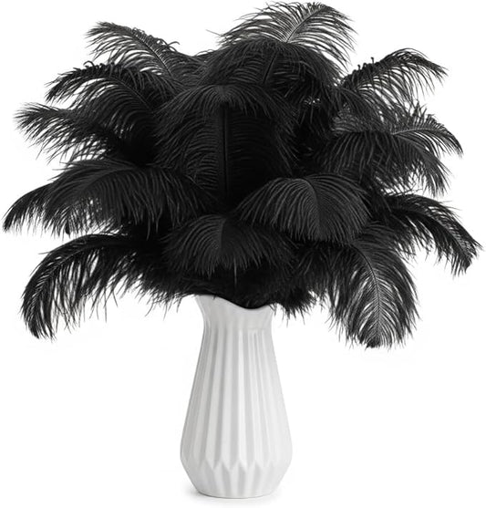Lamar 20Pcs 14-16'' Black Ostrich Feathers Bulk Feathers for Decoration, Wedding Centerpieces, Vintage Style, Crafts, Carnival, Party Decor, Floral Arrangement, Bohemian Home Decor (Black)