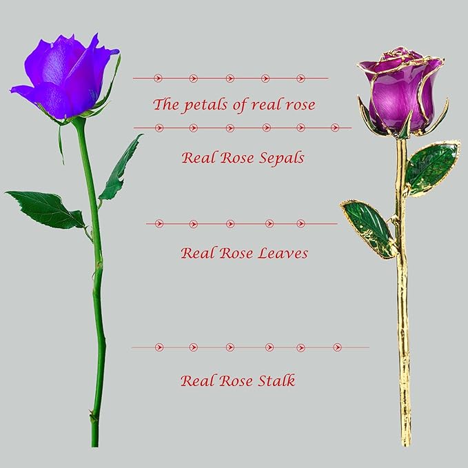 Gold Rose, 24K Gold Dipped Real Rose is Attractive Luster and Natural Shape, Best Gifts for Anniversary Wedding Valentines Day (Purple Original Rose with Stand)