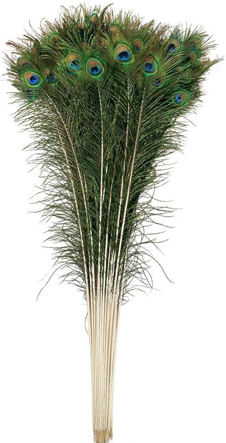 10 Pcs Natural Peacock Feathers : Various Sizes (45-50”)