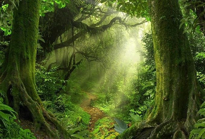 Yeele 15x10ft Tropical Jungle Backdrop for Photography Wet Fog Tropical Forest Moss Sunshine Background Natural Landscape Kids Adult Photo Booth Shoot Vinyl Studio Props
