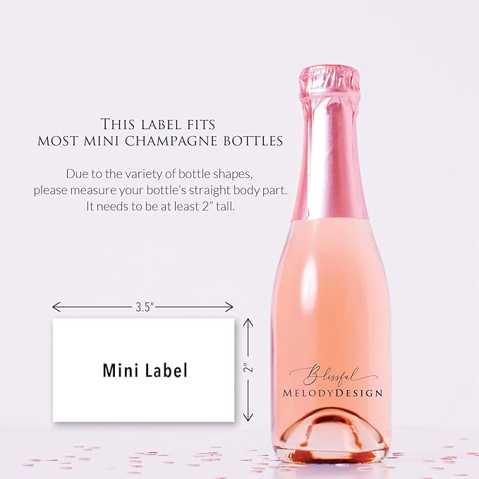 Set of 12 Bridesmaid Proposal Mini Champagne Bottle Labels, Waterproof Mini Wine Bottle Labels, Proposal Idea for Bridesmaids, Maid of Honor & Matron of Honor