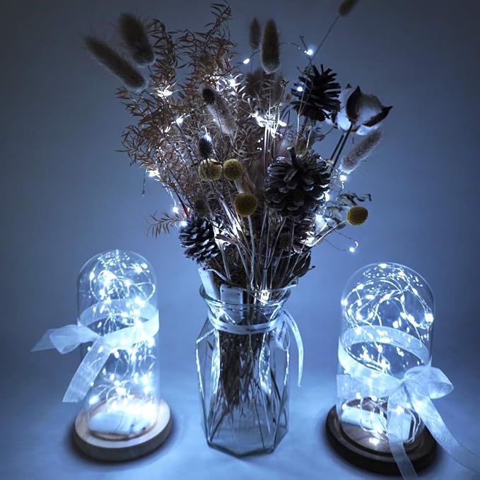 Battery Operated Silver Copper Wire Starry String Light 20 Pack Fairy String Lights,6.6FT 20 LEDs for DIY Party Christmas Costume Wedding Easter Table Decorations (Cool White)