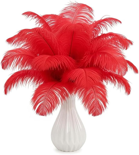 20Pcs 8-10 Inch Red Ostrich Feathers for Decoration, Wedding Centerpieces, Crafts, Festival, Carnival, Party Decor, Floral Arrangement, Bohemian Home Decor (Red)