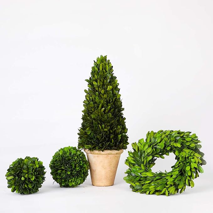 Boxwood Decorative Ball Preserved Real Boxwood Leaves Green Plants Home Decors for Christmas Thanksgiving Days Gifts Stay Fresh for Years Indoor Use Only (Small Ball, 6 inch)