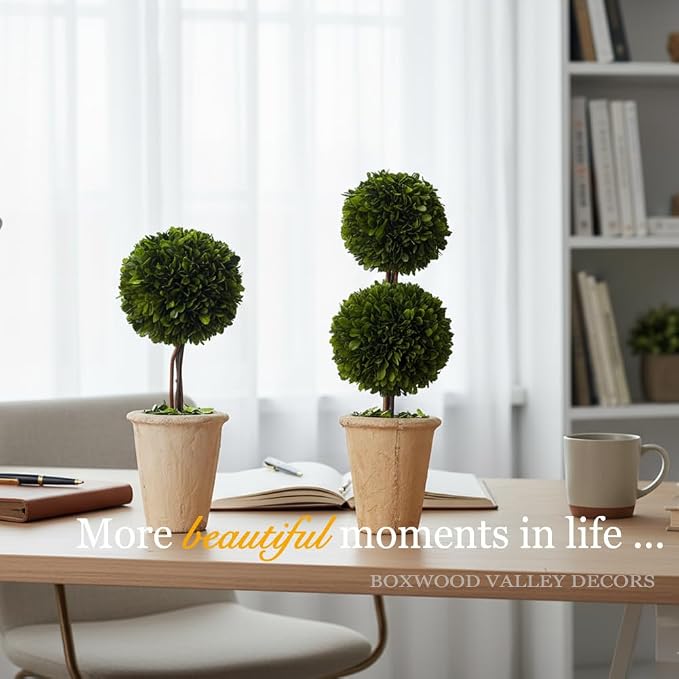Real Preserved Boxwood Evergreen Globe Tree Topiary in Terracotta Planter Green Plant for Home Decor (Single Ball Topiary, 16 inch Tall)