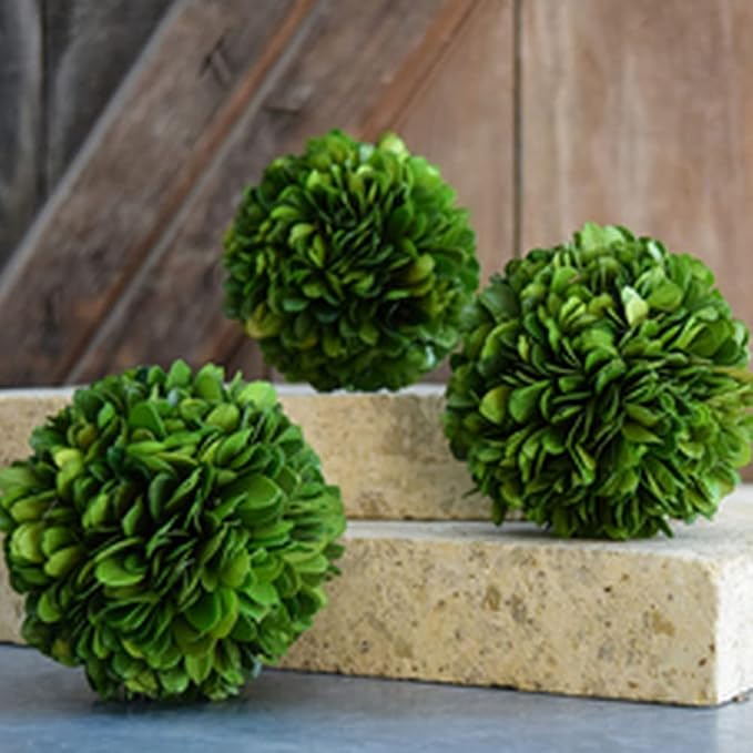 Boxwood Decorative Ball Preserved Real Boxwood Leaves Green Plants Home Decors for Christmas Thanksgiving Days Gifts Stay Fresh for Years Indoor Use Only (Small Ball, 6 inch)