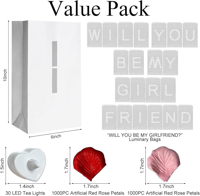 Will You Be My Girlfriend Light Up Letters Luminary Bags, Banner, Romantic Decoration Kit with 30PC Bright LED Candles and 2000PC Fake Rose Petals
