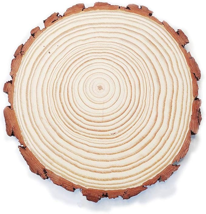 Large Round Rustic Wood Slices for centerpieces 8-9 inch 6 Pack (6 pcs 8-9inch)