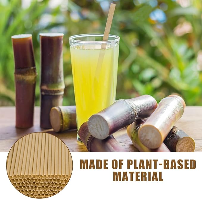 HANSGO 60PCS Sugarcane Straws, 7.8 Inch Drinking Straws Bulk Sturdy for Hot Cold Drinks