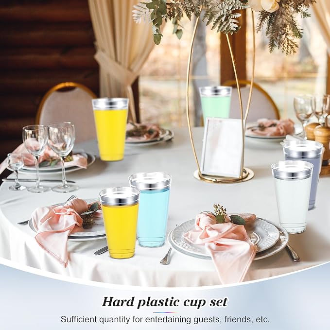 Sliner 50 Pcs Hard Plastic Cups Double Rimmed Plastic Cups Heavy Duty Fancy Wine Glasses for Holiday Christmas New Year Winter Birthday Party Supplies(16 Oz,Silver)