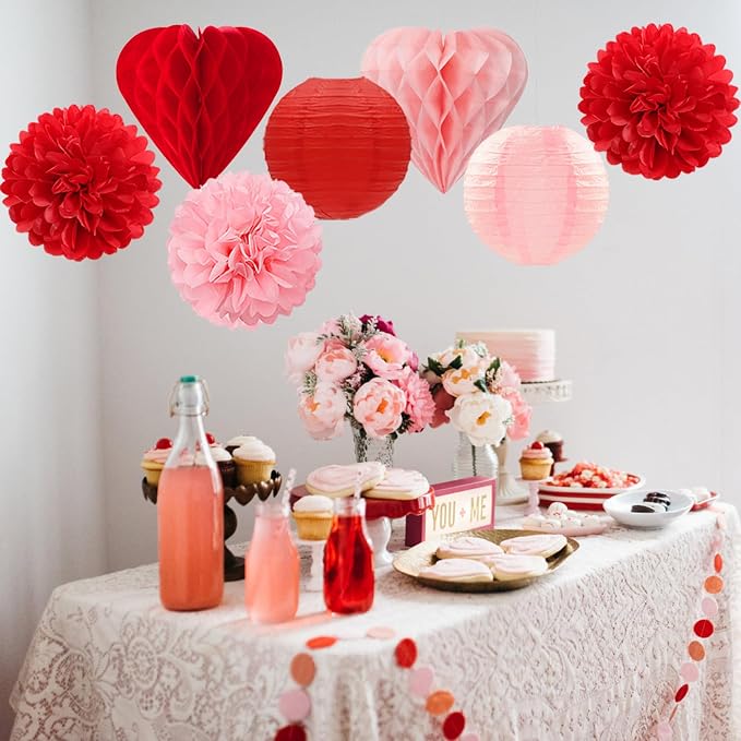 Red Pink Valentines Day Paper Flowers Hearts Honeycomb Lanterns Tissue Pom Poms 15pcs Galentines Party Decorations Anniversary Love Birthday Wedding Baby Shower Hanging Supplies Mprocherify