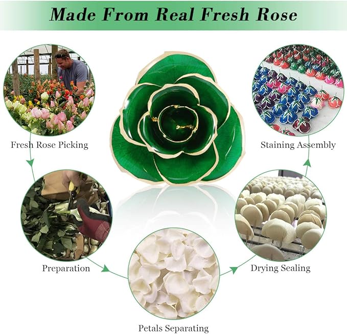 24K Gold Dipped Real Rose Valentines Flower, Golden Friend Romantic Love Girlfriend Confidante Wife Mom Grandma on Birthday Sweetest Day Halloween Thanksgiving, Green