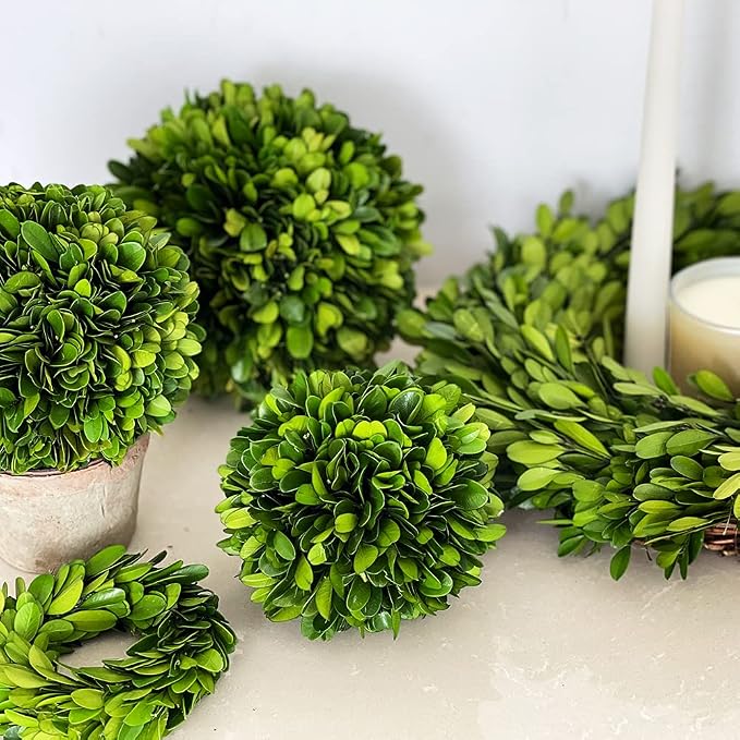 Boxwood Decorative Ball Preserved Real Boxwood Leaves Green Plants Home Decors for Christmas Thanksgiving Days Gifts Stay Fresh for Years Indoor Use Only (Small Ball, 6 inch)