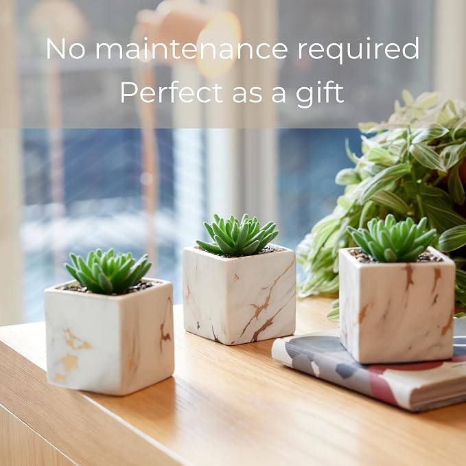 Nordik Square Marble Pots with Gold Vein Accents - Set of 3 - Modern Office and Home Decor - Lifelike Faux Plants - Artificial Desk Plants for Office and Bathroom - Mini Indoor Cactus
