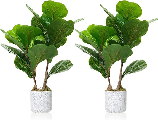 2Pcs Artificial Fiddle Leaf Fig Tree Faux Ficus Lyrata Plant for Home Office Decoration, 15.7" Tall Fake Evergreen Potted Trees Ficus Lyrata with Realistic Leaves and White Planter, Indoor Desk Decor
