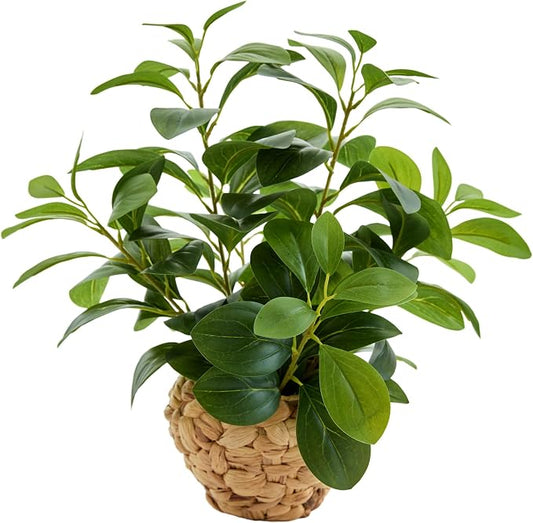 AlphaAcc 15.7" Artificial Fig Leaf Plant in Water Hyacinth Basket - Faux Ficus Greenery for Desk, Office & Boho Decor