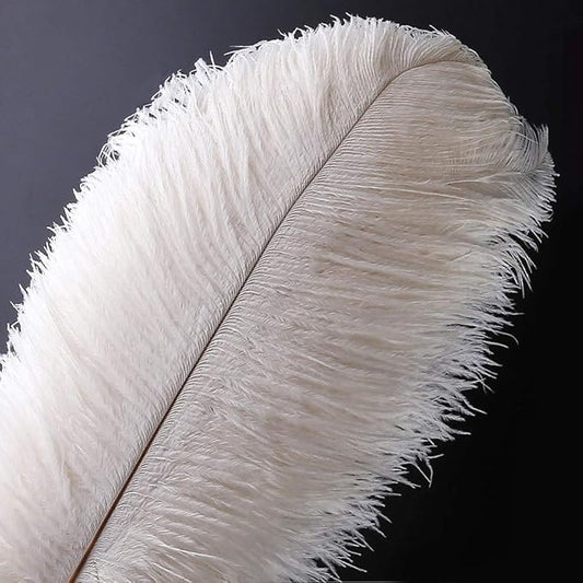 Ostrich Feathers for Crafts Wedding Party Centerpieces Christmas Tree Decoration Feathers (White, 10Pcs 12-14inch(30-35cm))