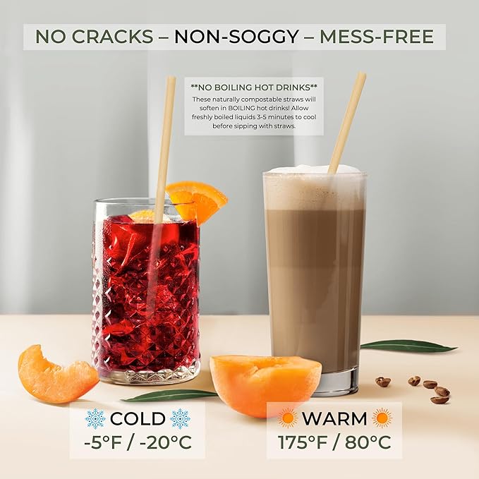 EcoPreps 10'' Biodegradable Sugarcane Straws, Extra-Long Straw | 100 Count, 100% Compostable, Plastic-Free, Eco-Friendly Drinking Straw | Sugar Fiber, Party Jumbo Disposable Straws, 10 Inches Tall