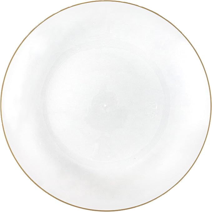 PLASTICPRO 30 Pack Hammered Plastic Plates Heavyweight Disposable Plastic Plates Elegant Transparent White With Gold Rim Platsic Party Dishes (Transparent White With Gold Rim, 9'' INCH PLATES)