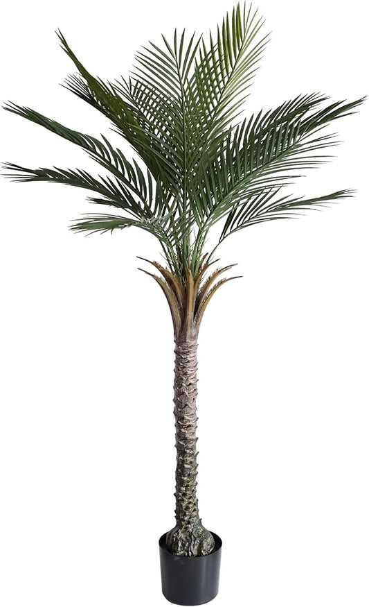 momoplant Artificial Palm Tree 5 Ft Tall UV Rated Faux Tropical Palm Plant in Pot for Indoor or Outdoor Home Office Decor