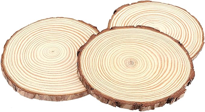100PCS 3.5-4 Inch Natural Wood Slices, Unfinished Wood Slices 0.4 Inch Thick Wood Rounds Wood Coaster for Crafts, Painting, Ornaments